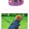 LED Dog Collar Safety Adjustable Nylon Leopard Pet Collar - Image 6