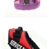 LED Dog Collar Safety Adjustable Nylon Leopard Pet Collar - Image 3